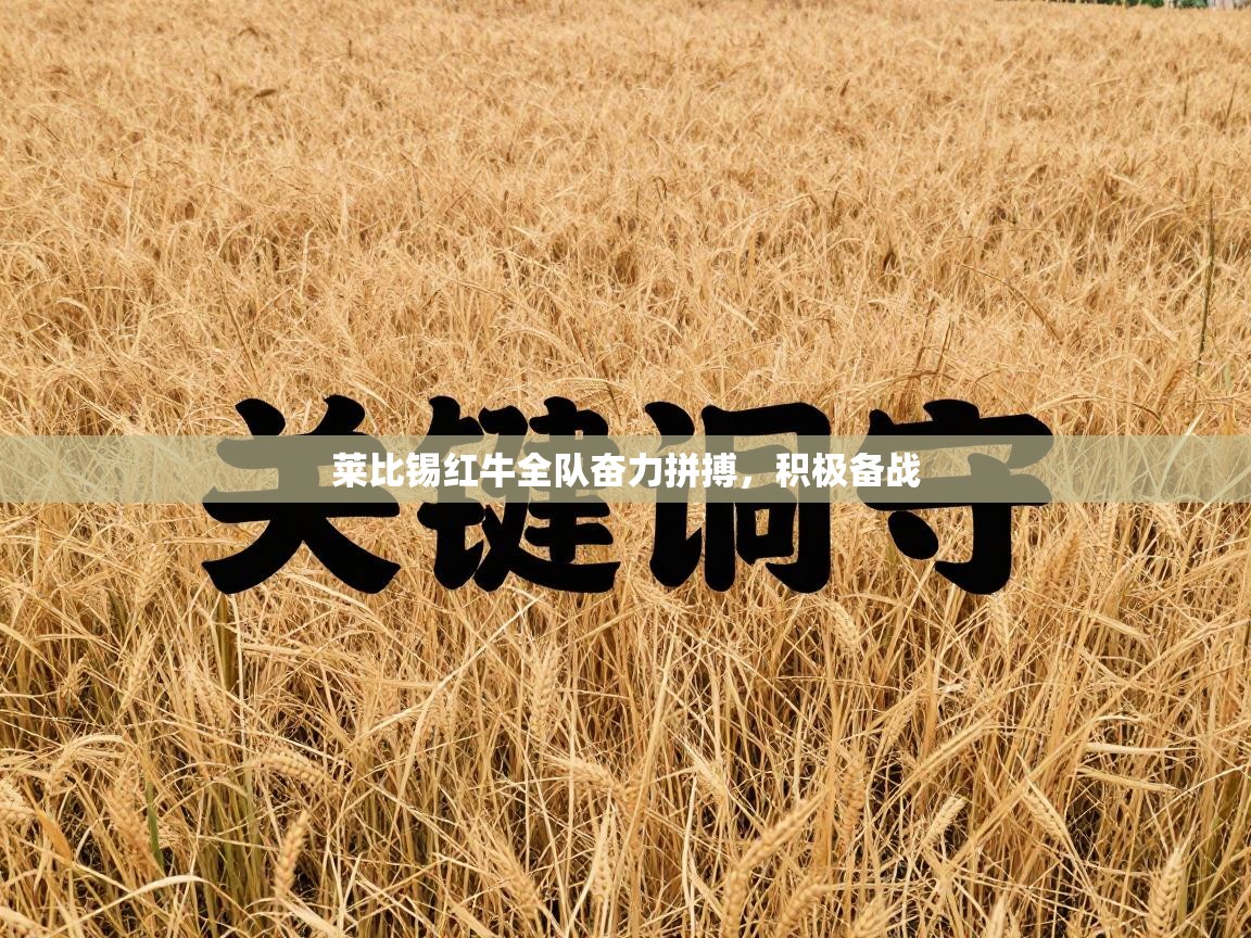 莱比锡红牛全队奋力拼搏，积极备战